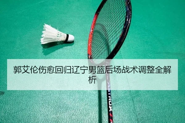 郭艾伦伤愈回归辽宁男篮后场战术调整全解析 - kaiyuan